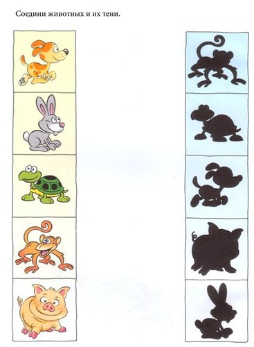 acaf0fab3c98.jpg