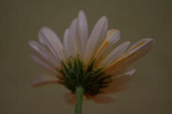 IMGP8357.JPG