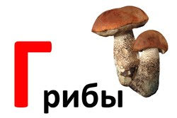 Дидактические карточки для малышей. Буква Г