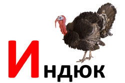 Дидактические карточки для малышей. Буква И