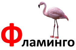Дидактические карточки для малышей. Буква Ф