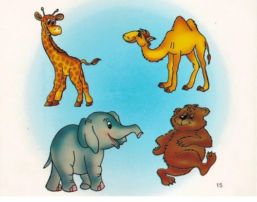 Дидактические карточки для детей. Что лишнее?15
