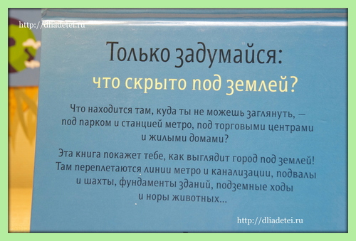 Над землей и под землей: природа и город книга, книжка-картинка, новинки книг, издательство миф отзыв, книги отзыв, книги для детей от 3 лет