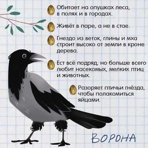 зимующие птицы +для детей зимующие птицы картинки +для детей зимующие птицы названия +для детей картинки перелетных птиц +для детей +с названиями картинки птиц +с названиями +для детей перелетные птицы +для детей про птиц +для детей птицы +для детей птицы +с названиями +для детей птицы картинки +для детей